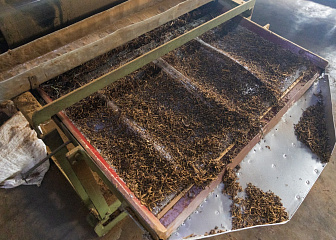 Машинист чаесушильных машин