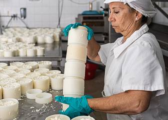 Формовщик сыра