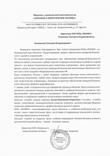 ООО "Охранные и энергетические системы"